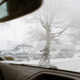 Illustration for article titled All The Good Cars Braving The Brooklyn Snow